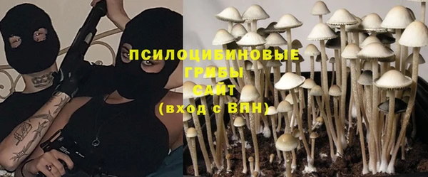 каннабис Алзамай